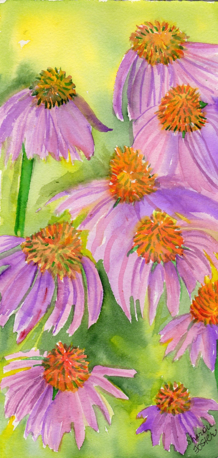 Echinacea Purple Coneflower Watercolor Original