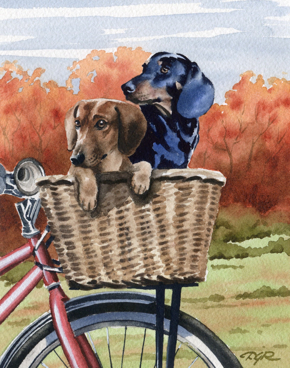 DACHSHUND Bike Ride Art Print Signed by Watercolor Artist DJ