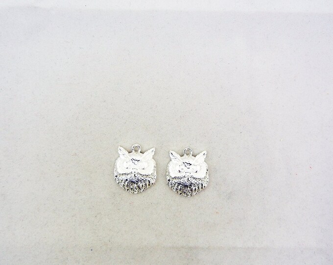 Pair of Silver-tone Owl Head Charms