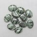 Green Zebra Jasper 20mm x 15mm Puffed Oval Beads - 11 pieces #N6
