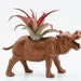 Air Plant Hippo Planter Room Decor, College Dorm Ornament, Geekery, Metallic Plant Pot, Tillandsia Plant