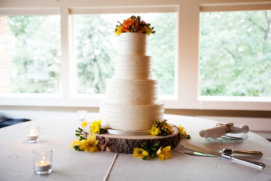 12 Rustic Wood Tree Slice Wedding Cake Base or Cupcake