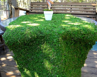 6 Moss table runner-Moss mats-Preserved Moss sheets-Decorative Moss Sheets-Table Runners-Green Moss - Moss Mat