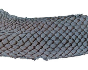 Blue GREY Exotic Glossy Eco Friendly, CHROME free, real Tilapia Fish Leather Skin from Go Fish Leather. Sold by each skin.