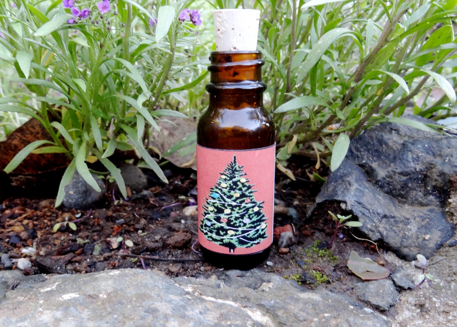 Christmas Tree Seed Bottle Douglas Fir Free shipping