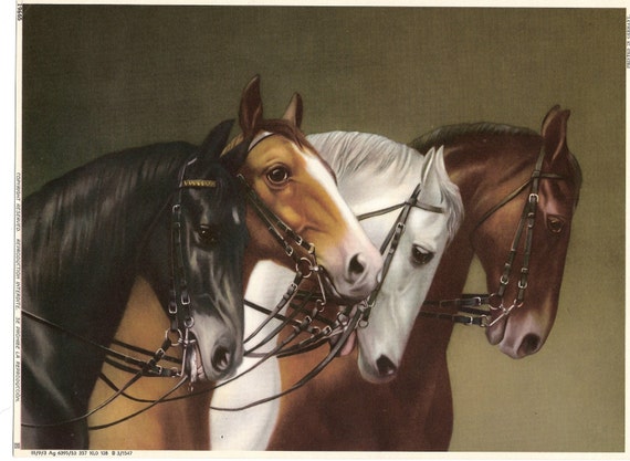 Horse Horseheads Race Horses  ART PRINT Printed in Germany 1940-50's  8" x 10"  vintage art print horse