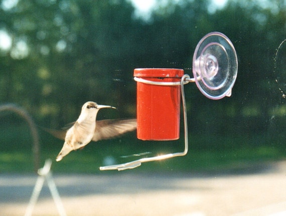 window mounted tiny hummingbird feeder window mounted tiny hummingbird feeder