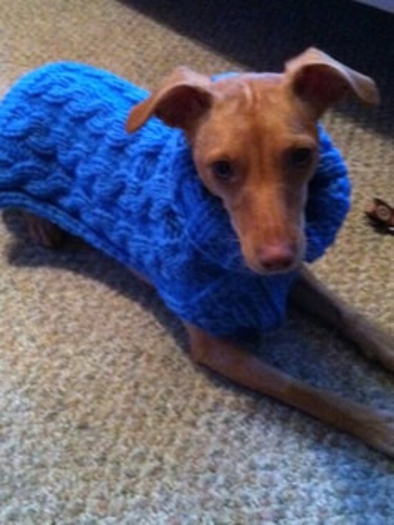 Items similar to Royal Blue Cable Knit Dog Sweater on Etsy