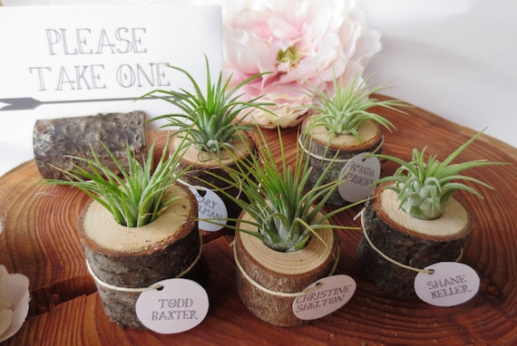 Wood and Airplant Wedding Favors Place Card Holders 