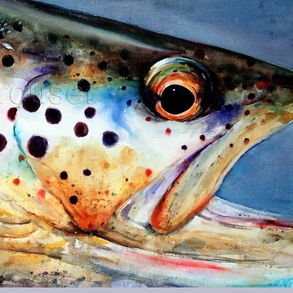 Brown Trout Watercolor Fish Art Print By Dean Crouser