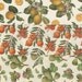 12x12 Italian Decorative Papers Featuring Exotic Fruits for Bookbinding Scrapbooking Paper Arts Collage
