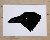 Crow 5x7 Print of Pencil Drawing Natural History Bird