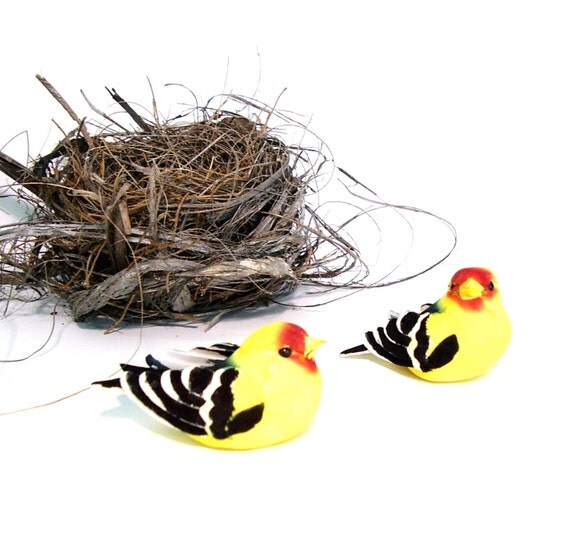 Craft Supply Mini Birds Hand painted Yellow Black Finches