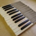 Vintage Reed Pump Organ Piano Keys...Newman Bros., Chicago, Illinois Organ Co ...Repurpose..24 Keys....Antique...Upcycle Craft..