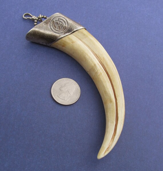 Unger Brothers Antique Boar Tusk And Sterling Silver Pendant