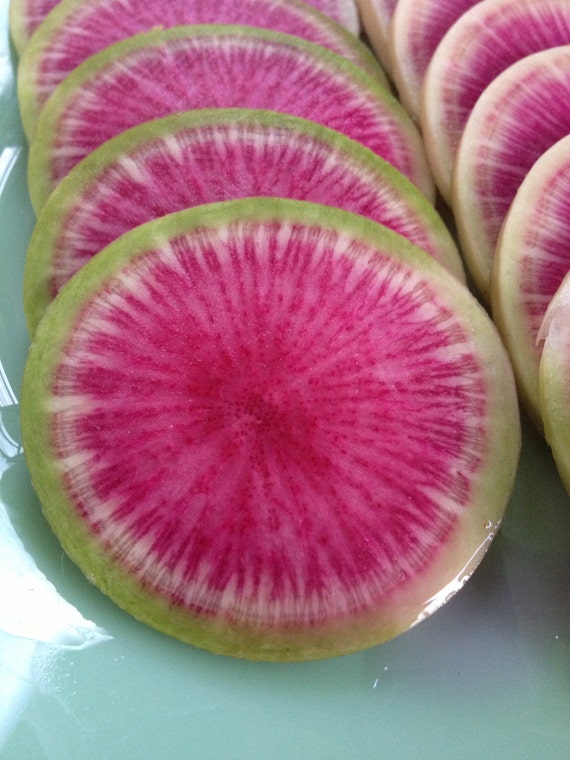 Organic Heirloom Watermelon Radish Seeds Rare by kenyonorganics