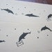 letter-paper / Dolphin Mail