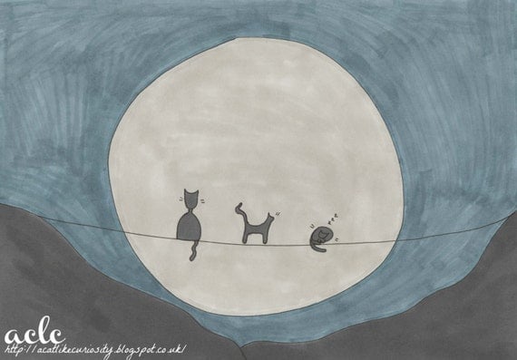 Kitties By Moonlight