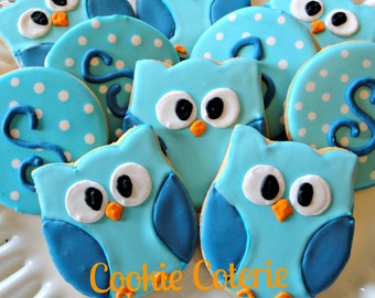 Owl Decorated Cookie Favors Birthday Party Baby Shower Cookie Favors One Dozen