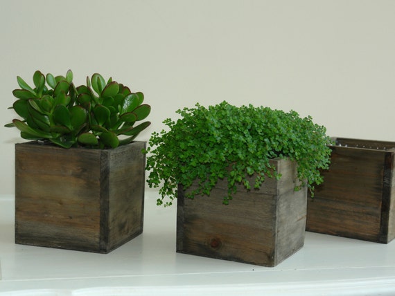 small wood box wood boxes woodland planter flower box rustic pot 