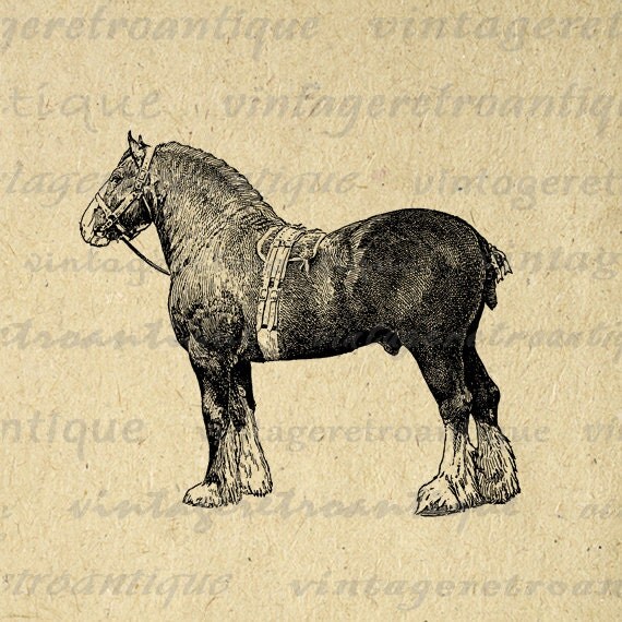 Clydesdale Horse Graphic Image Printable by VintageRetroAntique