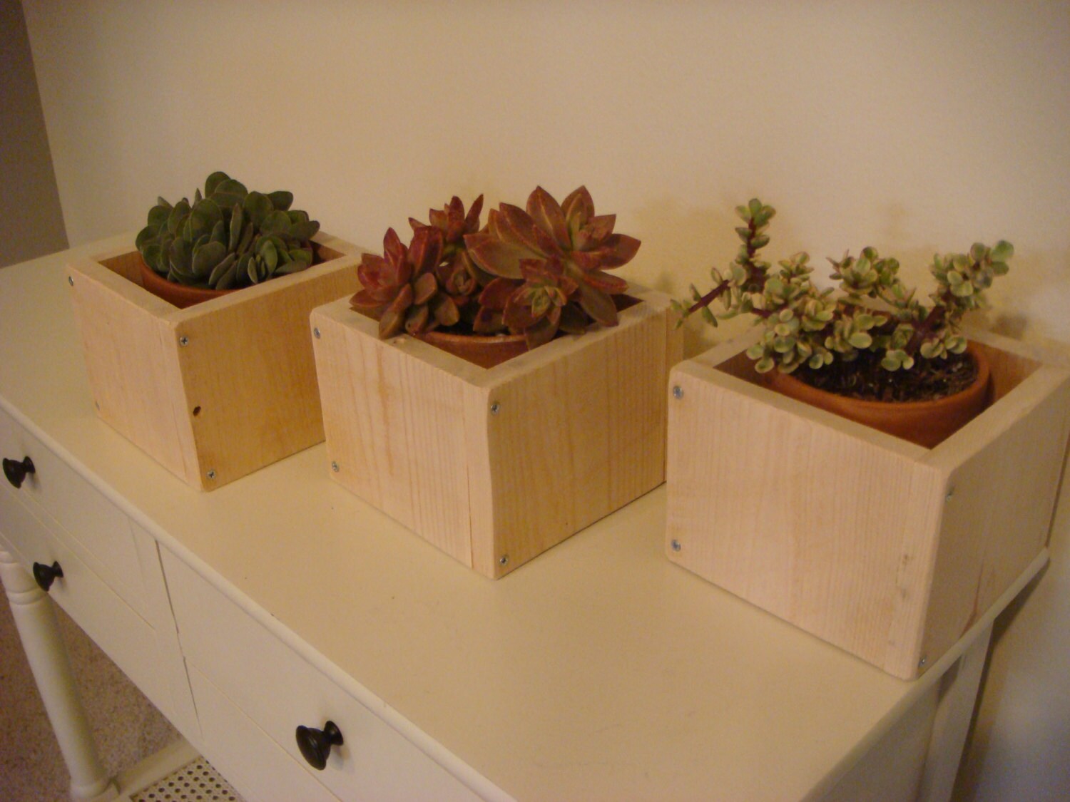 OVERSTOCK ITEMS Wood Planter boxes 7.95 dollars each 6 x 6