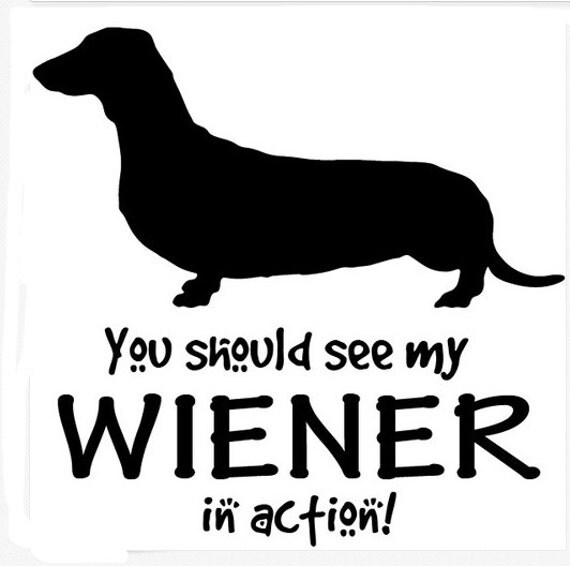 You Should See My WIENER in Action Funny Dachshund by stickEdecals