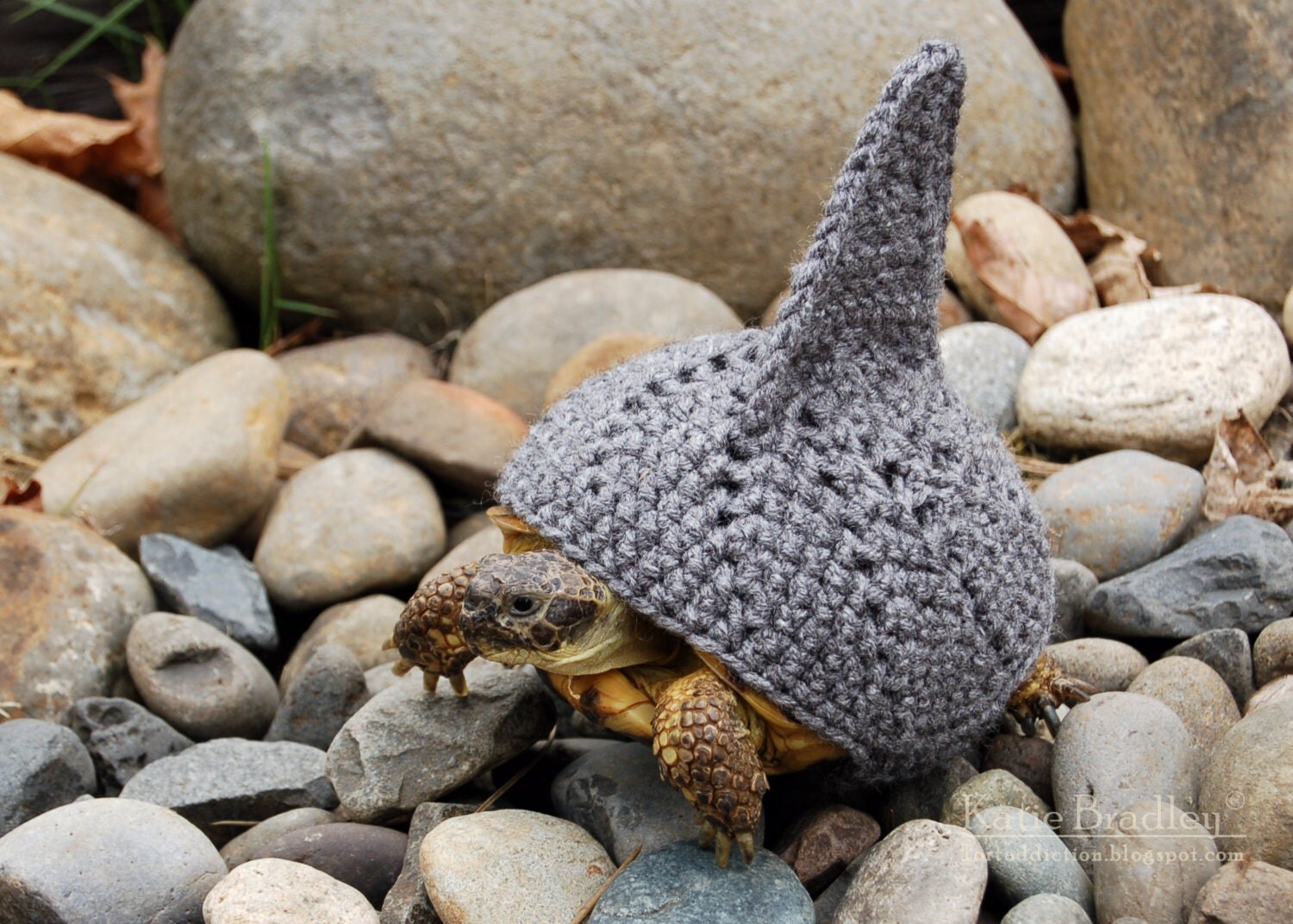 PATTERN for shark fin cozy for tortoises