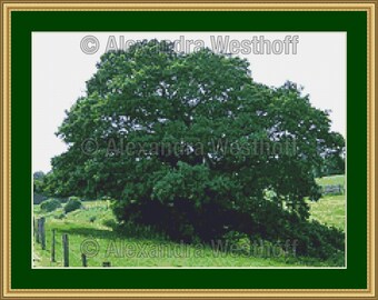 Cross stitch chart "Eiche"
