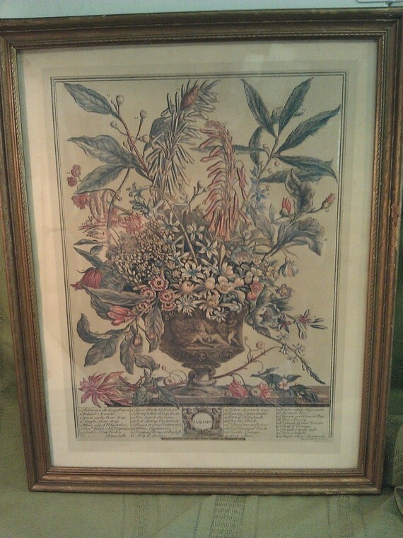 1900's Framed Antique Engraving of Flowers by H. by PurpleHazeDayz