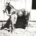 Vintage photo Little Boy Holds Reins of Pony Horse