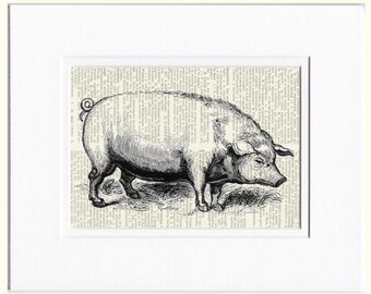 pig dictionary page print