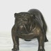 Metal BULLDOG Dog Figurine Philip Kraczkowski Paperweight c.1970 By Gatormom13