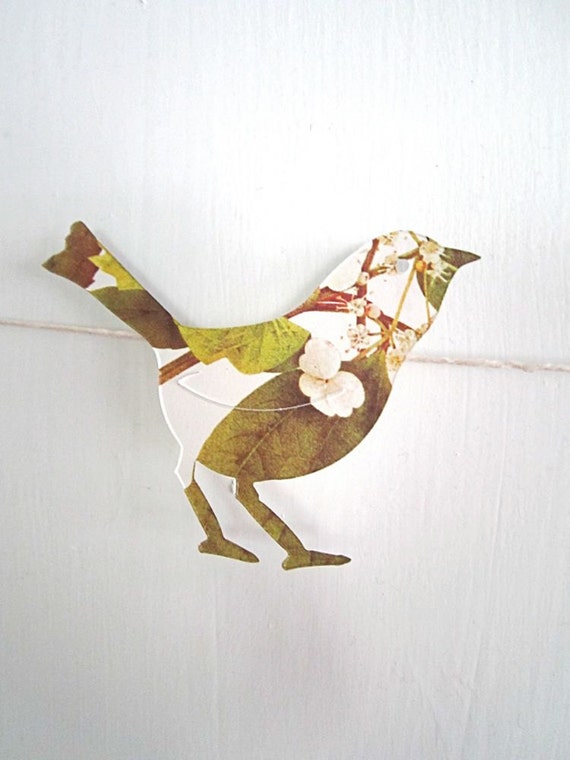 Birds 100 bird shapes birds for decorating bird by magpieandmax