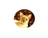 1 1/2 Fabric Cat Button - Oriental CAT Chocolate Mocha ChampagneTopaz Rex Blue eyes Regal Royal Curious Siamese Travel Brown Minimal