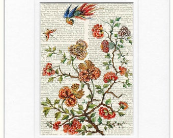 16oo's phoenix dictionary page print