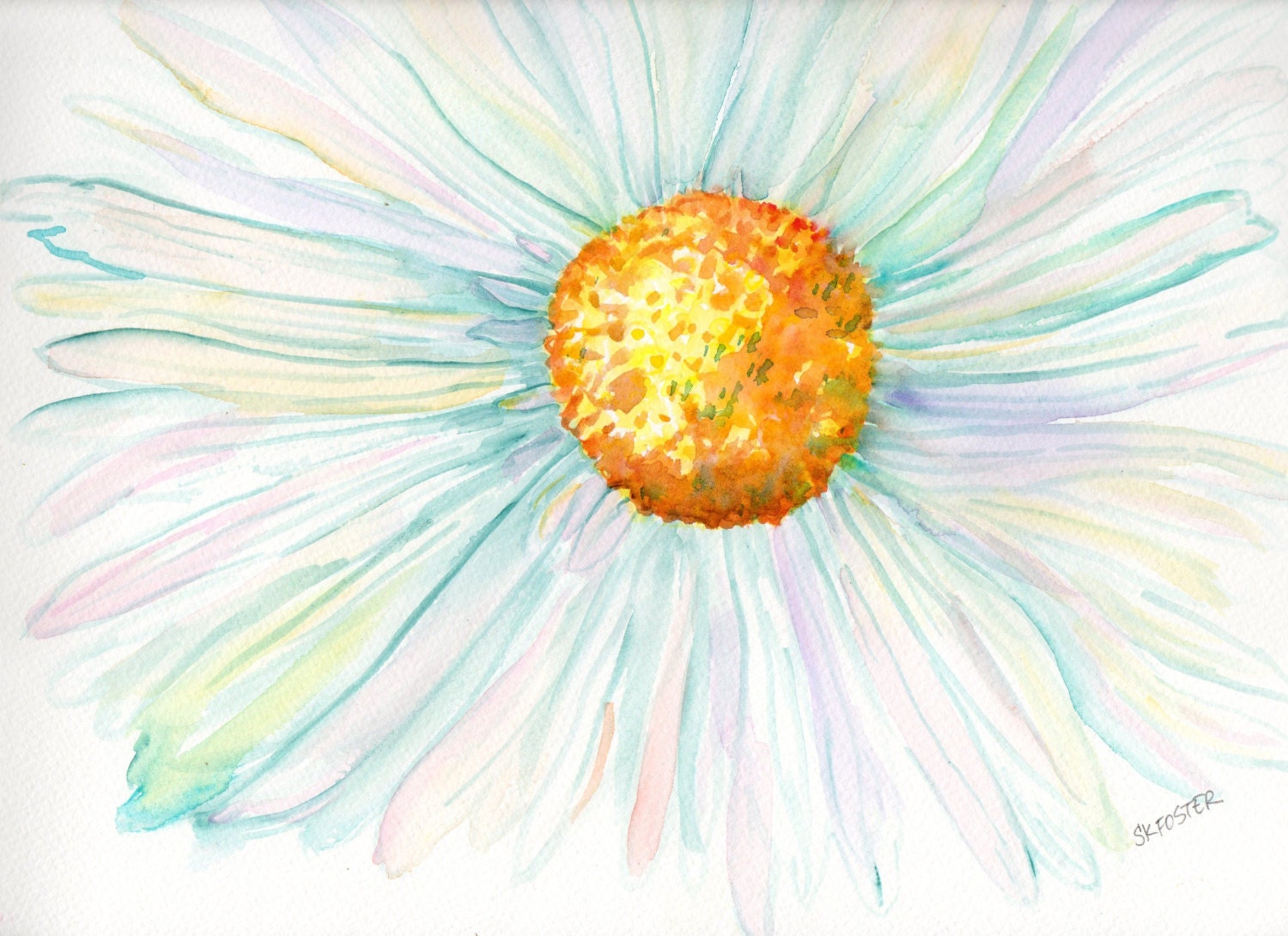 White Daisy Watercolors Paintings Original 11 X By Sharonfosterart