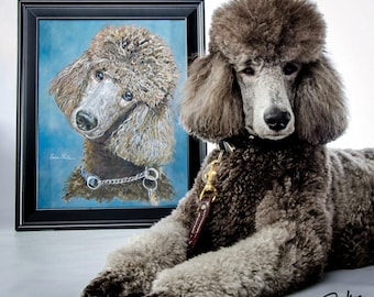 Custom Pet Portraits - Poodle Dog Portraits from your Photos - Portraits by NC