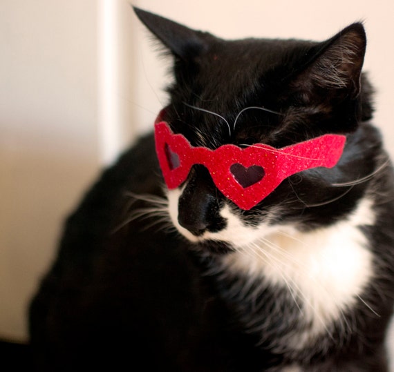 Heart Shaped Sunglasses for Cats / Valentine's by