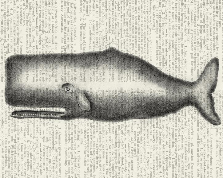 whale dictionary page print