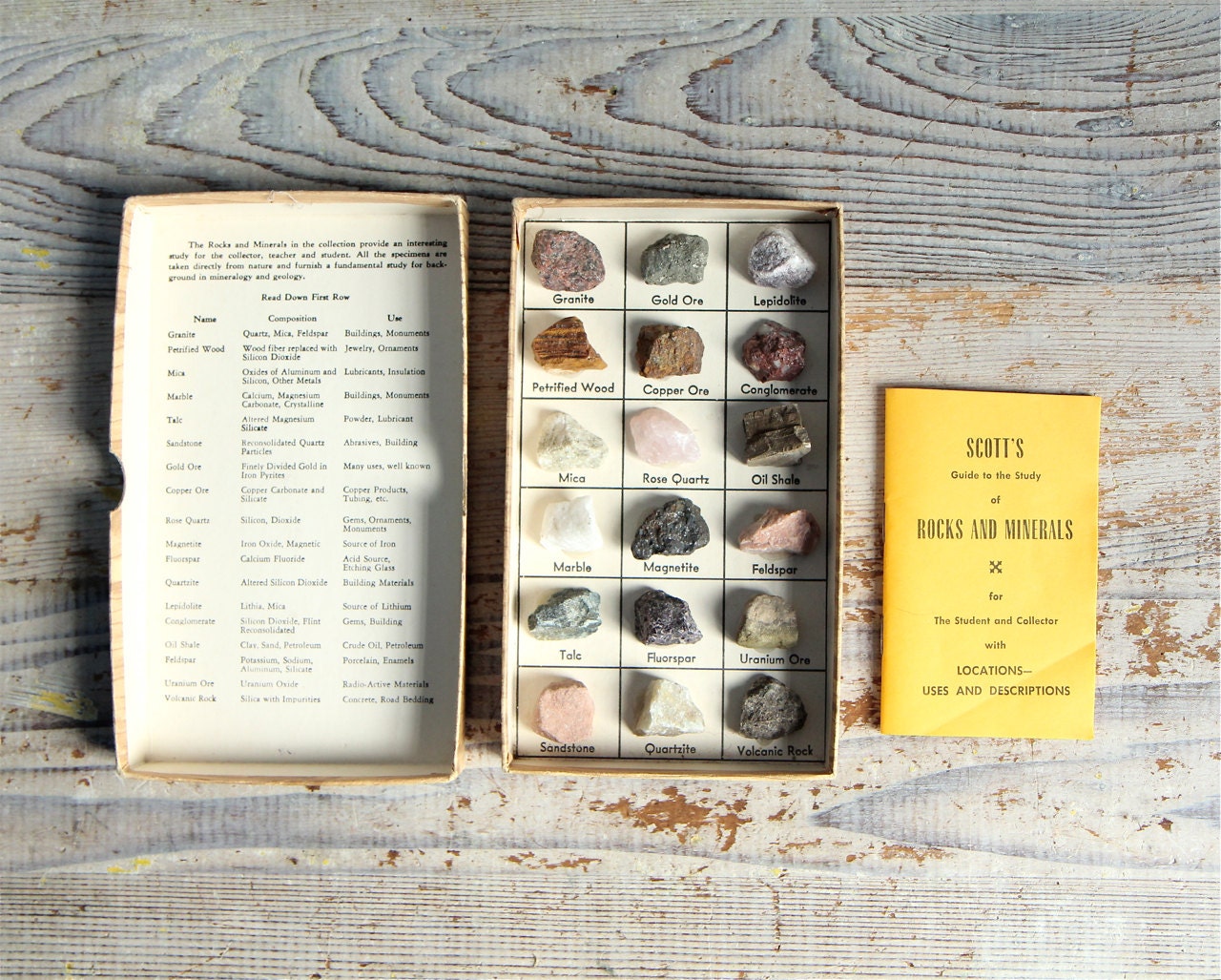 Vintage Rocks and Minerals Specimen Display / Shadowbox