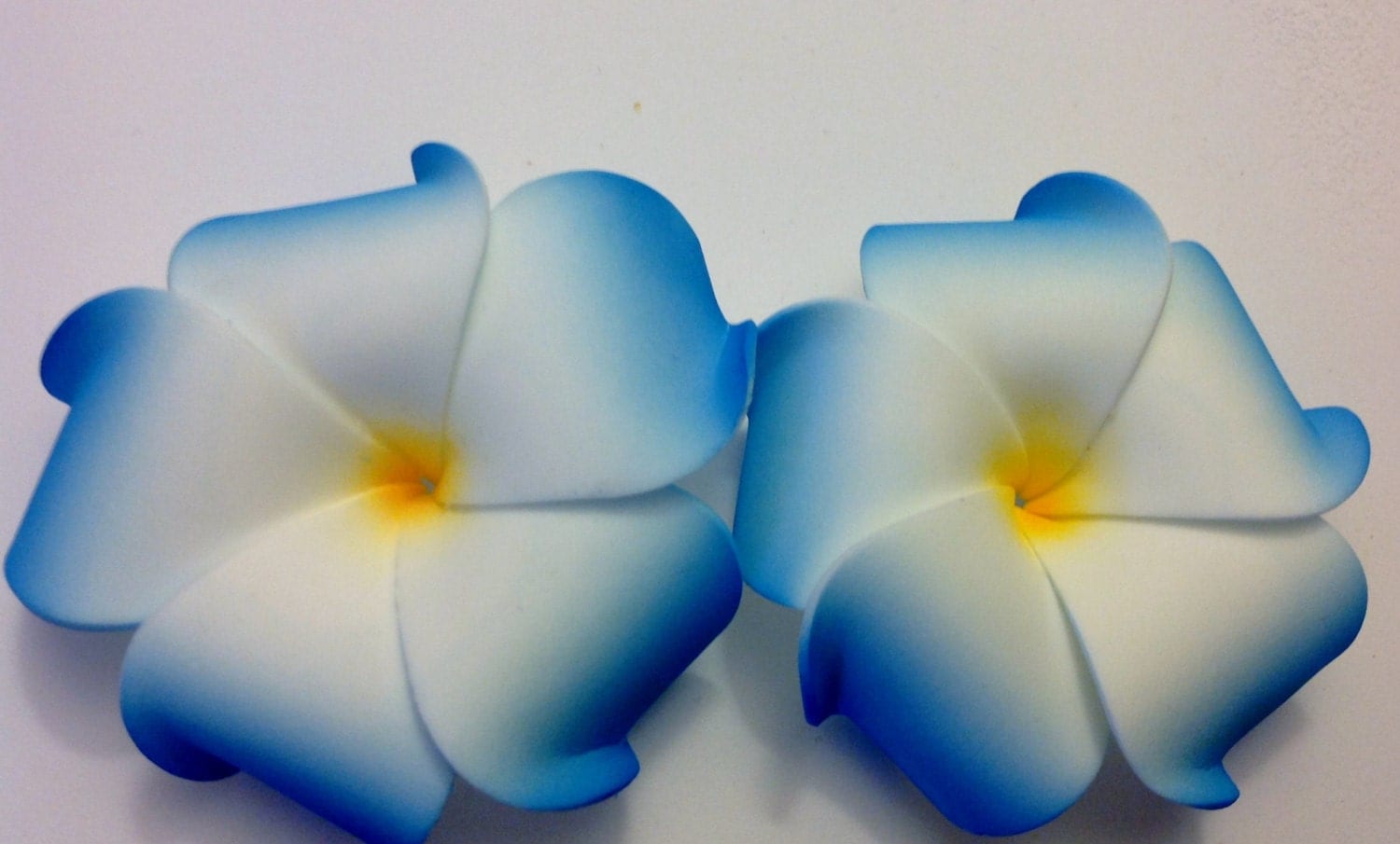 Blue plumeria Plumeria Plumeria clip Tropical flower