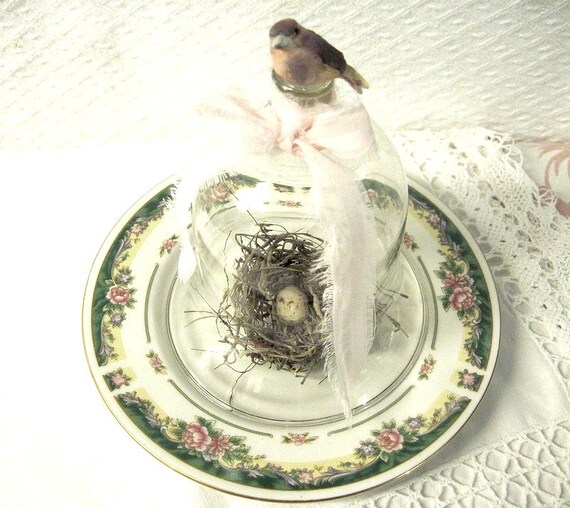 Glass Cloche Dome Bird Nest Country Shabby Cottage By Avesattic Glass Cloche Dome Bird Nest Country Shabby Cottage By Avesattic