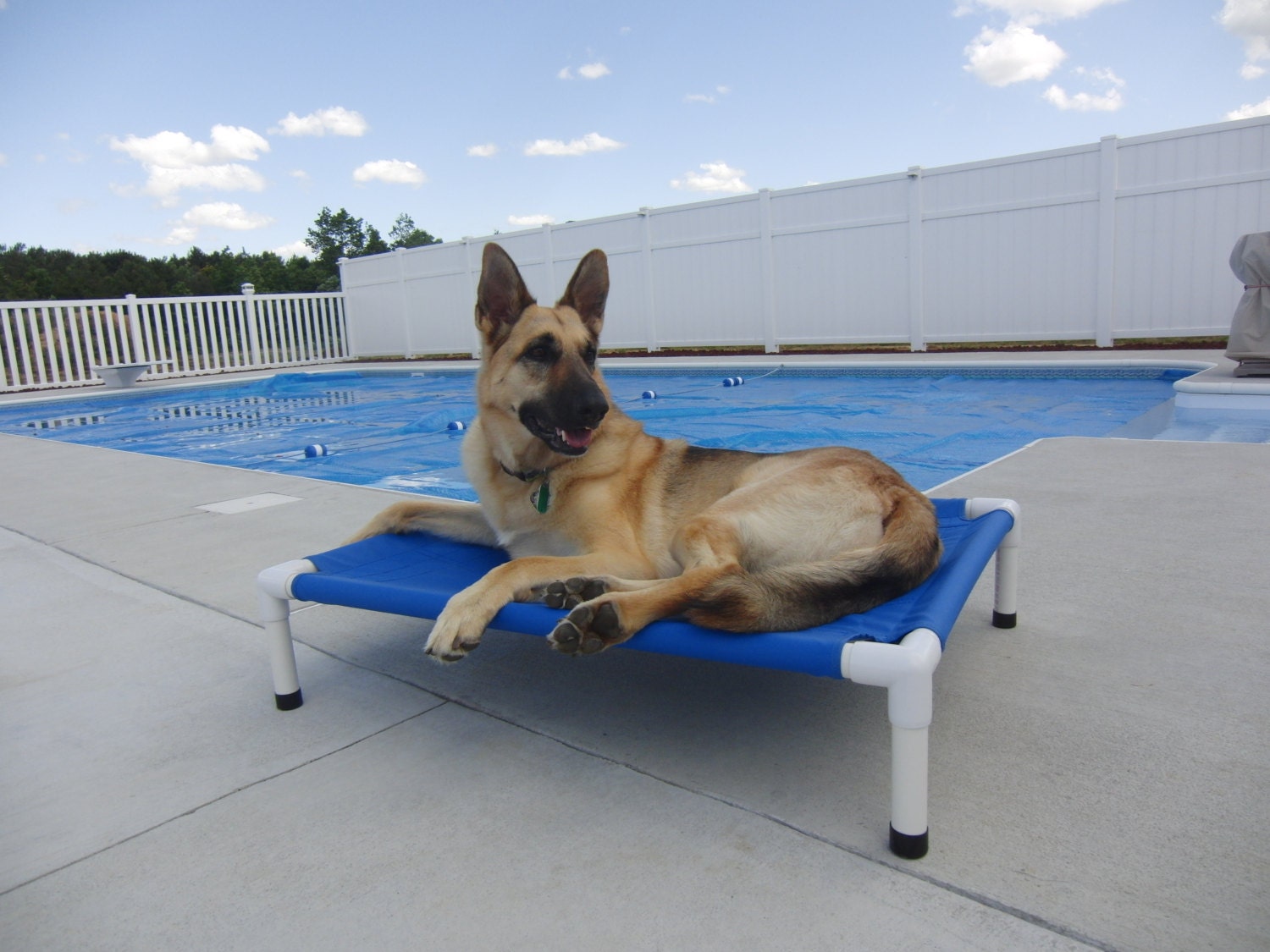 Elevated Bed Dog Bed Custom Made PVC Cots Beds Canvas