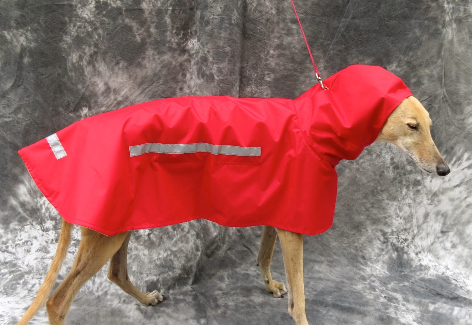 Greyhound Raincoat red medium female