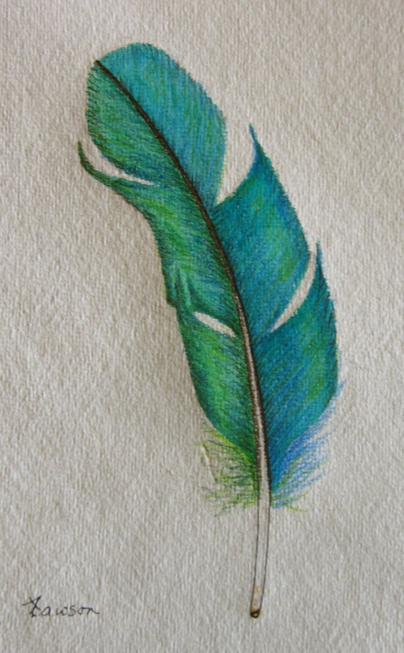 Teal Feather original coloured pencil drawing 