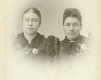 Waseca Waterville Minnesota Sisters Rose Women Victorian Dress Cabinet Card Studio Portrait Antique Photograph Photo