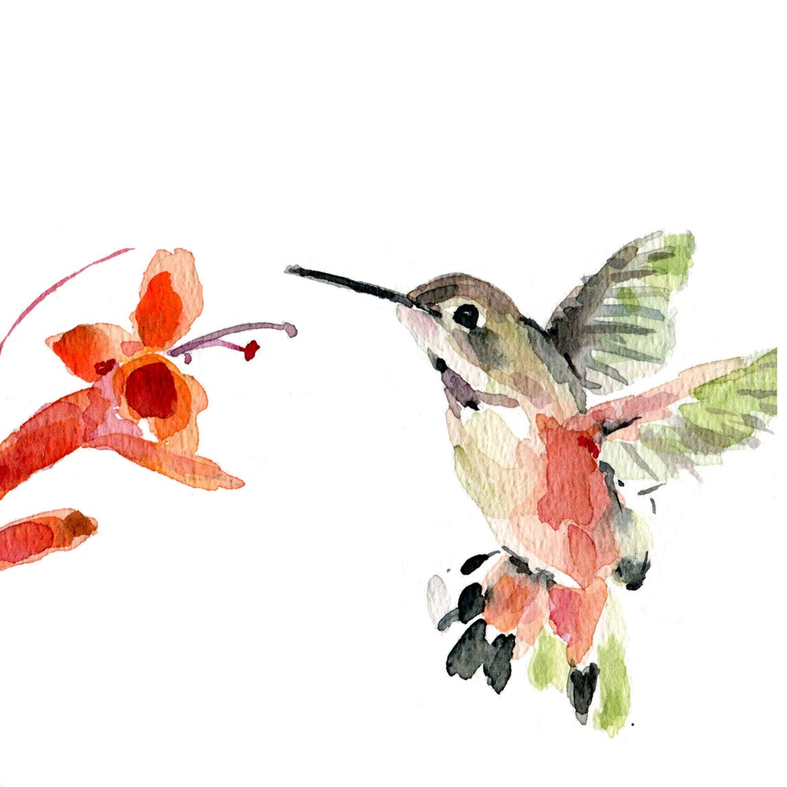 Hummingbird Print Of Original Watercolor Painting By TheJoyofColor