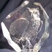 Mats Jonasson Owl Paperweight Glass Intaglio