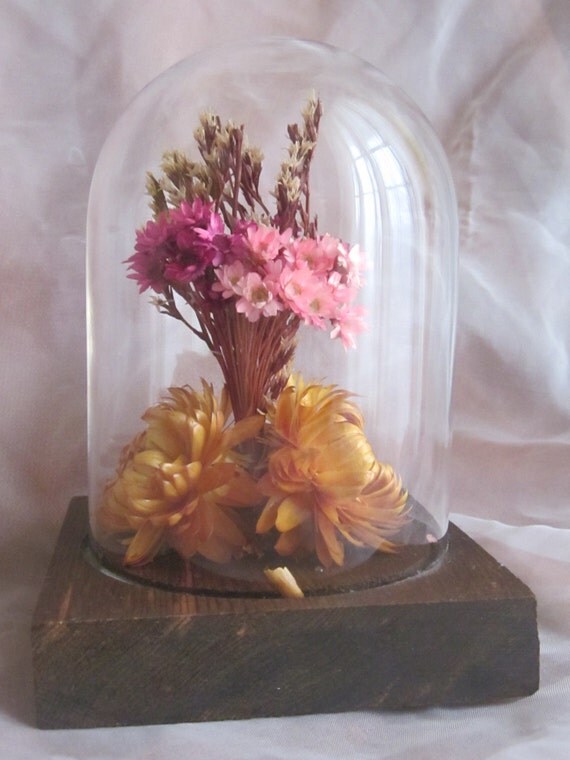 Vintage Dried Flowers 2